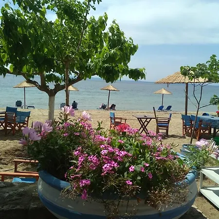 Paschalia Sea View Apartament Psakoudia