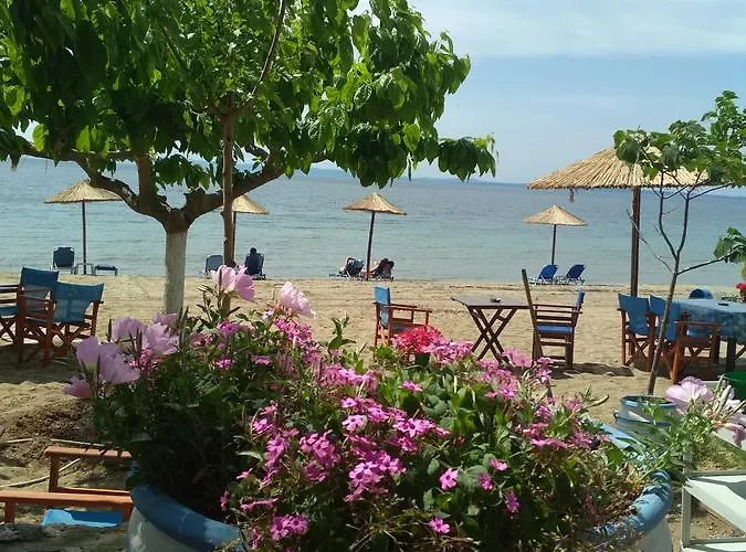 Paschalia Sea View Apartment Psakoudia